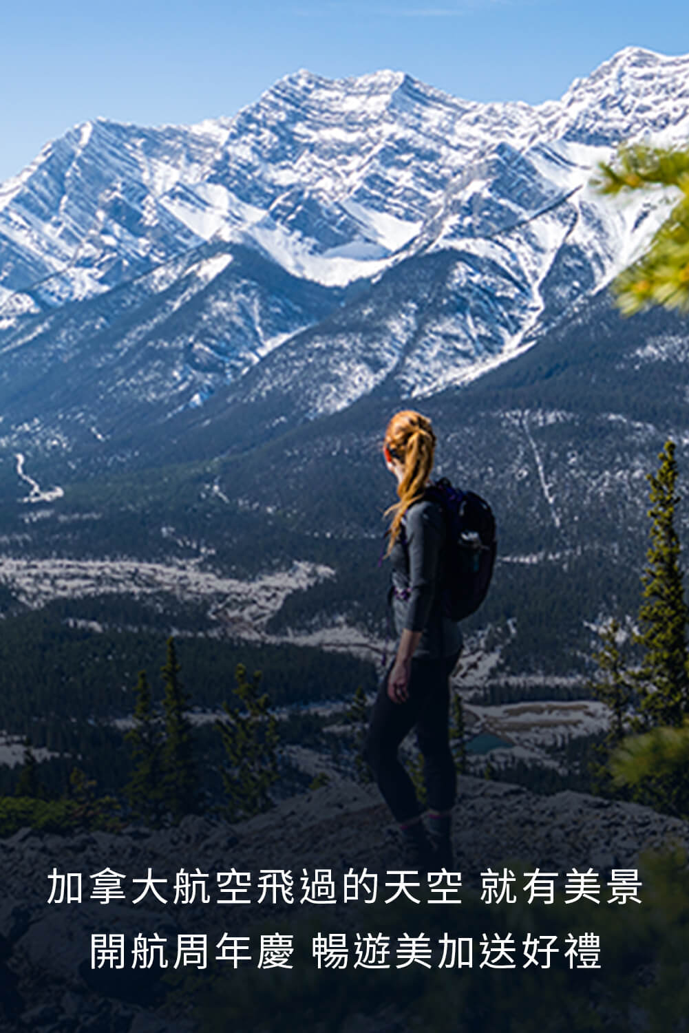 優良台灣產白肉雞宣傳推廣