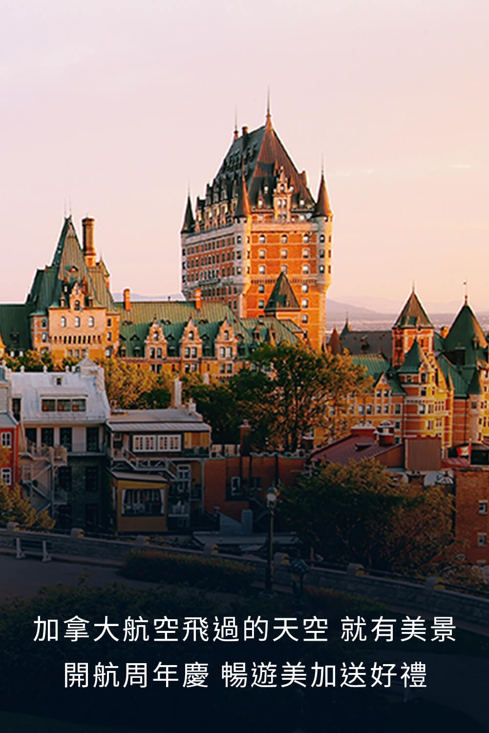 優良台灣產白肉雞宣傳推廣