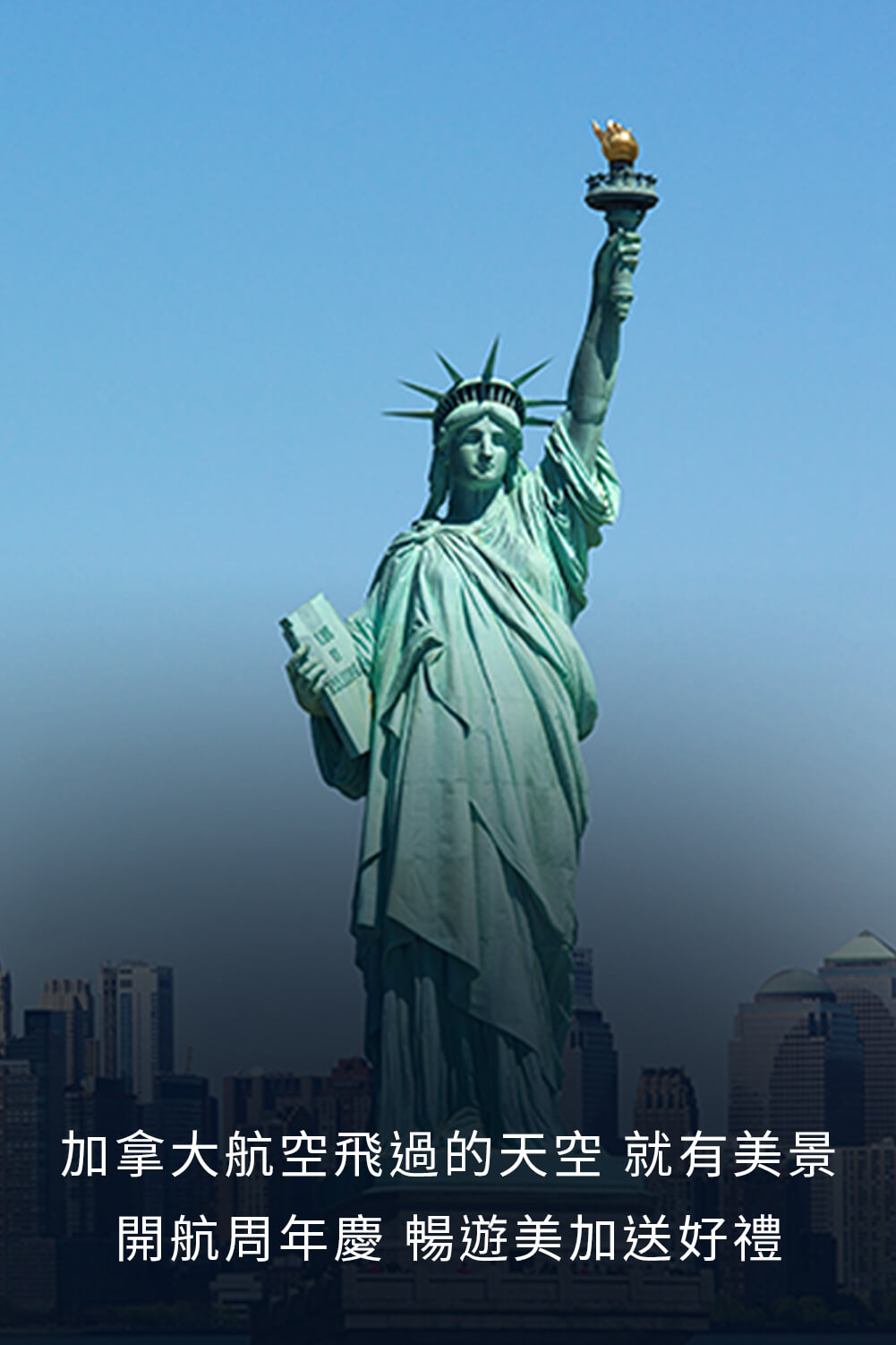 優良台灣產白肉雞宣傳推廣