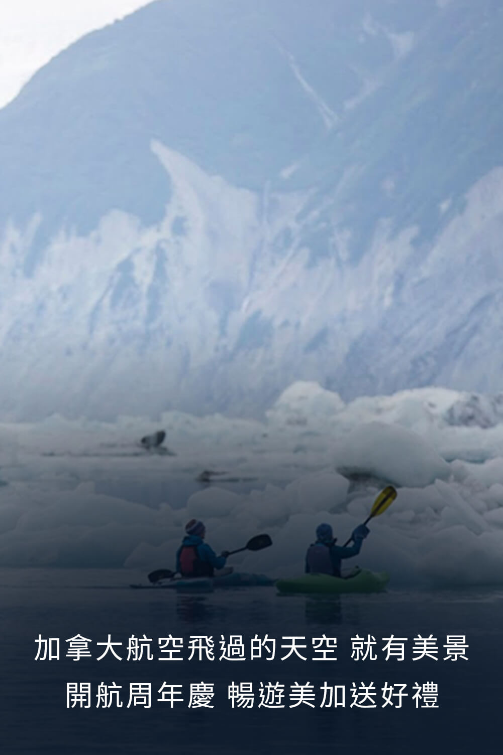 優良台灣產白肉雞宣傳推廣